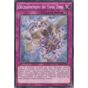 MP15-FR117 Déchaînement du Yang Zing Commune