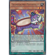 MP15-FR127 Trampolynx Potartiste Rare