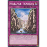 MP15-FR239 Raidraptor - Réactivité Commune