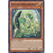 MP15-EN013 Sylvan Cherubsprout Commune