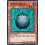 HA02-EN002 Naturia Rock Super Rare