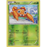 XY8_1/162 Paras Inverse