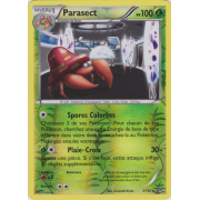 XY8_2/162 Parasect Inverse