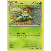 XY8_4/162 Cacnea Commune