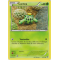 XY8_4/162 Cacnea Commune