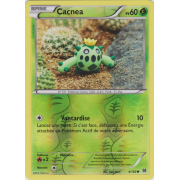 XY8_4/162 Cacnea Inverse