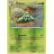 XY8_4/162 Cacnea Inverse