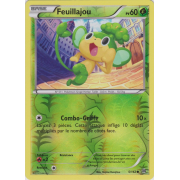 XY8_5/162 Feuillajou Inverse