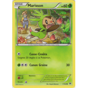 XY8_7/162 Marisson Commune