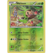 XY8_7/162 Marisson Inverse