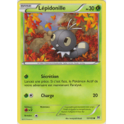 XY8_13/162 Lépidonille Commune