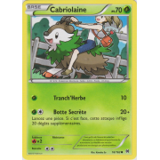 XY8_16/162 Cabriolaine Commune