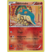 XY8_18/162 Héricendre Inverse