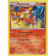 XY8_24/162 Flamoutan Rare