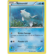 XY8_31/162 Rémoraid Commune