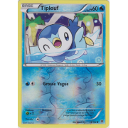 XY8_36/162 Tiplouf Inverse