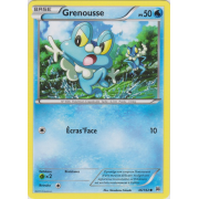 XY8_46/162 Grenousse Commune