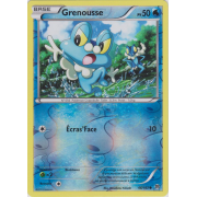 XY8_46/162 Grenousse Inverse