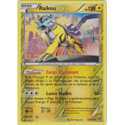 XY8_55/162 Raikou Inverse