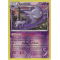 XY8_59/162 Spectrum Inverse