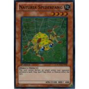 HA02-EN040 Naturia Spiderfang Super Rare