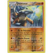 XY8_78/162 Ossatueur Inverse