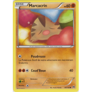 XY8_80/162 Marcacrin Commune