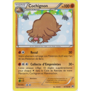 XY8_81/162 Cochignon Peu commune