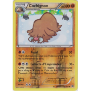 XY8_81/162 Cochignon Inverse