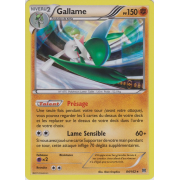 XY8_84/162 Gallame Holo Rare