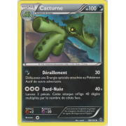 XY8_88/162 Cacturne Peu commune