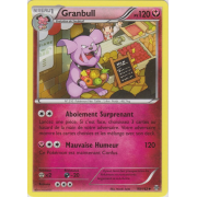 XY8_99/162 Granbull Peu commune