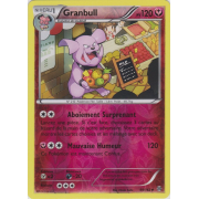 XY8_99/162 Granbull Inverse