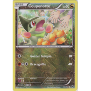 XY8_108/162 Coupenotte Inverse