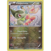 XY8_109/162 Coupenotte Inverse