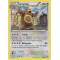 XY8_122/162 Ursaring Peu commune