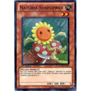 HA03-EN011 Naturia Sunflower Super Rare