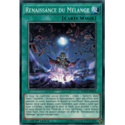 DOCS-FR053 Renaissance du Mélange Commune
