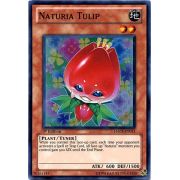 HA03-EN013 Naturia Tulip Super Rare