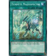 DOCS-FR059 Tempête Majesspectre Commune