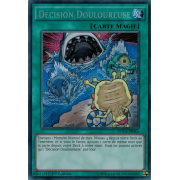 DOCS-FR065 Décision Douloureuse Secret Rare