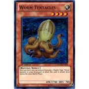 HA03-EN023 Worm Tentacles Super Rare