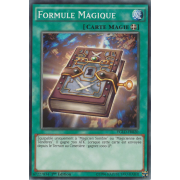 YGLD-FRB20 Formule Magique Commune