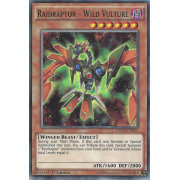 DOCS-EN013 Raidraptor - Wild Vulture Commune