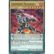 DOCS-EN031 Igknight Veteran Commune