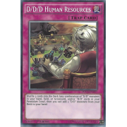 DOCS-EN097 D/D/D Human Resources Commune