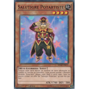 SDMP-FR011 Salutigre Potartiste Commune