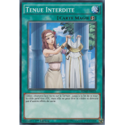 SDMP-FR033 Tenue Interdite Commune