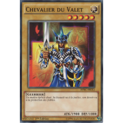 DPBC-FR012 Chevalier du Valet Commune