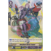 G-TD07/019EN Amethyst Beast Tamer Common (C)